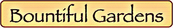 BG logo 2